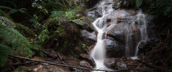 Hikes La la falls 600x254