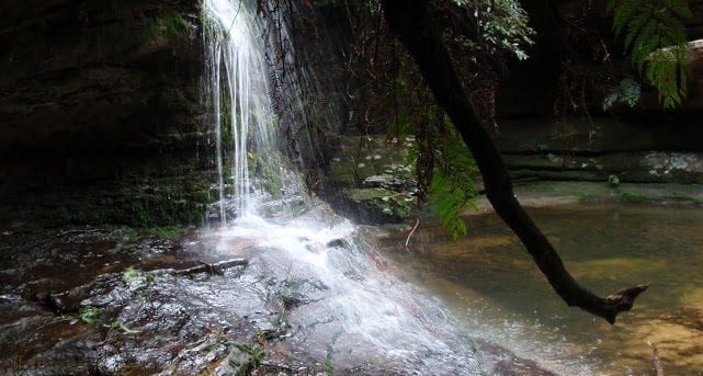 Lyrebird Dell and Pool of Siloam Circuit