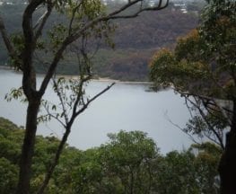 Manly Dam Nature Trail
