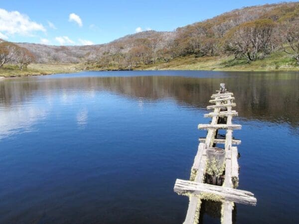 Rainbow lake trail 1 600x450