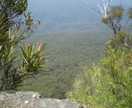 Scenic Railway – Ruined Castle – Mt Solitary – Kedumba River – Wentworth Falls