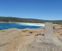 Snapper Point