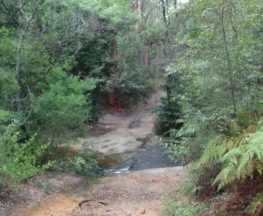 The Bare Creek Track