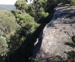 Woodford Station to cliff lookout