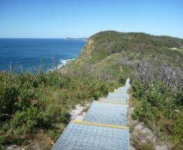 Wyrrabalong Lookout to Crackneck Lookout