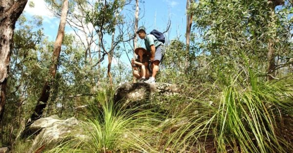 Augies Loop Hike (16km) Yuddamun trail 600x315