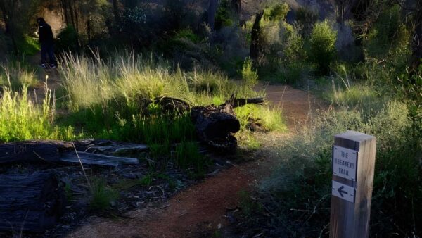 Breakers trail walk (1. 4km)