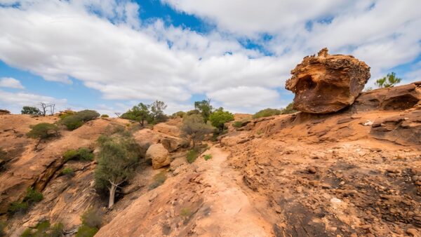 Bynguano range walking track (9km)