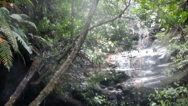 Clarinda falls from faulconbridge walk (3. 5km)