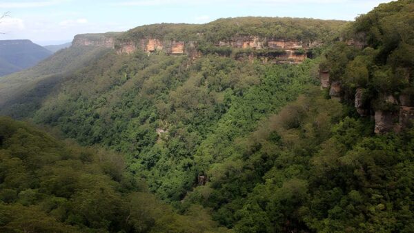 East rim & wildflower walking tracks hike (6. 7km)