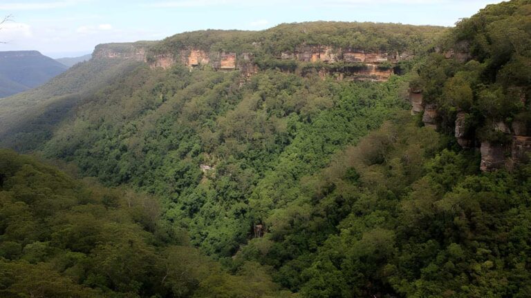 East Rim & Wildflower Walking Tracks Hike (6.7km) East rim & wildflower walking tracks hike (6. 7km)
