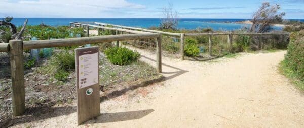 Surf coast walk trail hiking australia 600x254