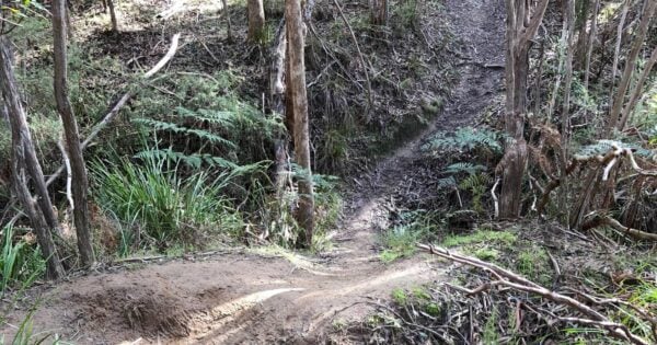 Sugarloaf & Christmas Hills Circuit Hike (15km) Trail hiking clifford park circuit 600x315