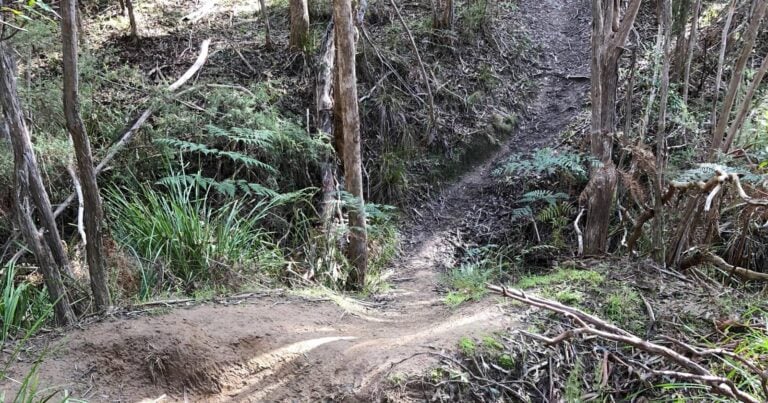 Trail hiking clifford park circuit 768x403