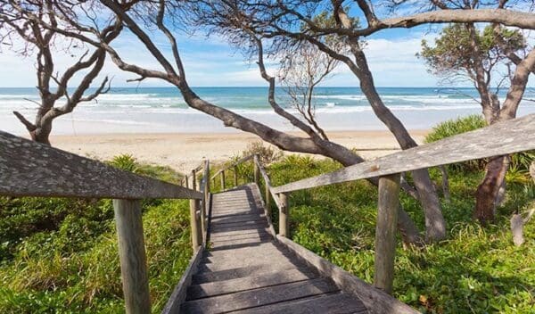 Brooms head to illaroo trail hiking australia 600x352