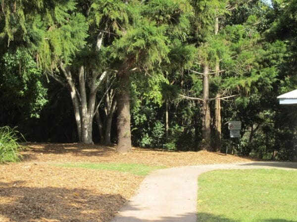 Cottonwood Walk (2.8km) Carole green walkway john oxley reserve 600x450