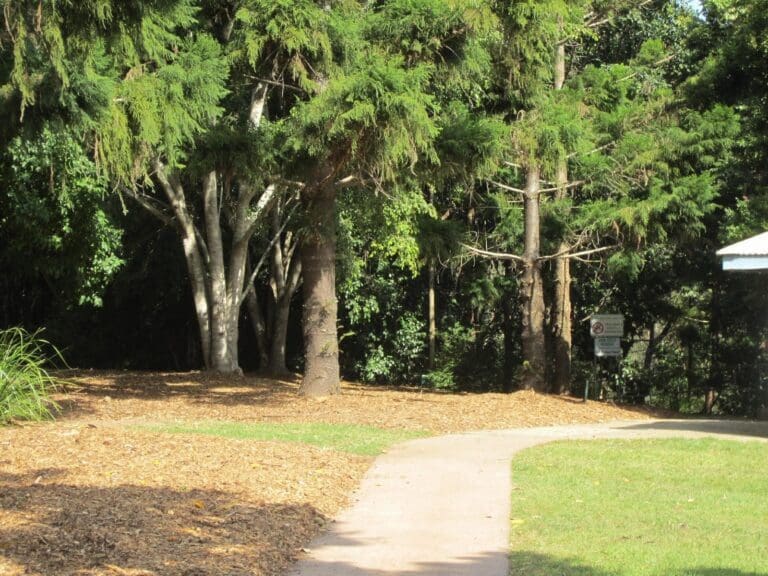 Carole green walkway john oxley reserve 768x576