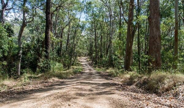 Hikes Double wharf to whoota lookout cycle loop trail hiking australia 600x352