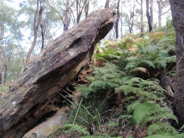 John whiteway dr to tottenham pl 600x450