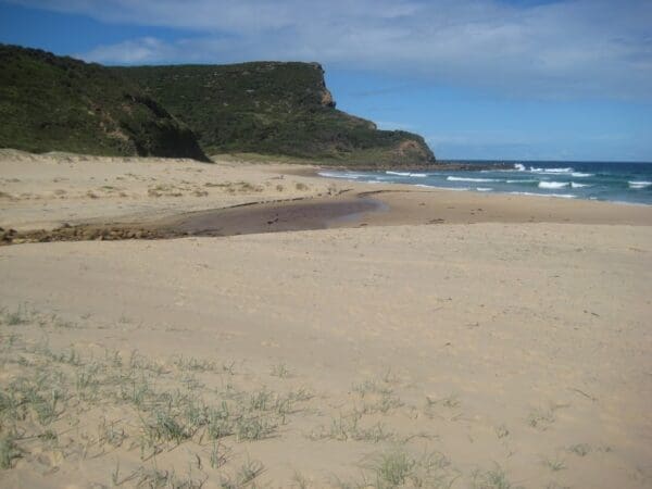Figure Eight Pools Hike (6km) Stockyard spur to garie beach 600x450