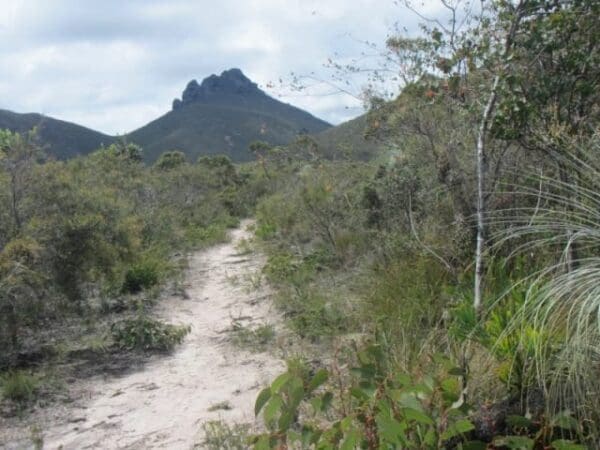 Hikes Talyuberlup walk trail 600x450