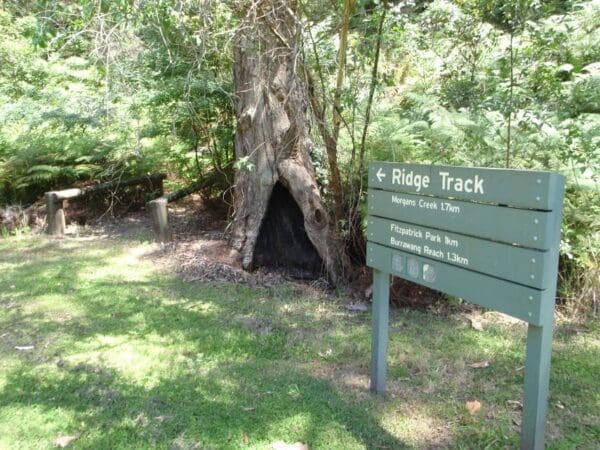 The ridge track loop 600x450