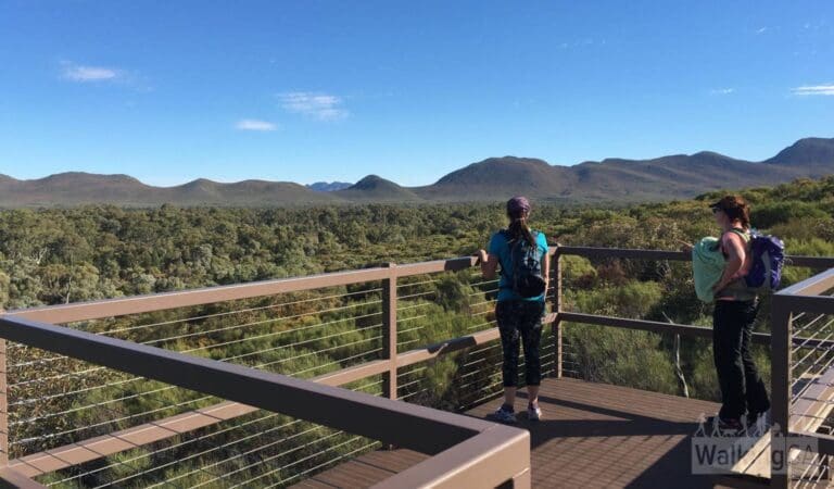 Wangara lookout hike 768x450