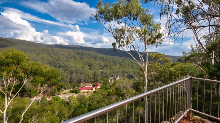 Bluff lookout walk (2km)