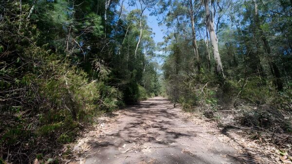 Turners Walking Track (1km) Turners walking track (1km)
