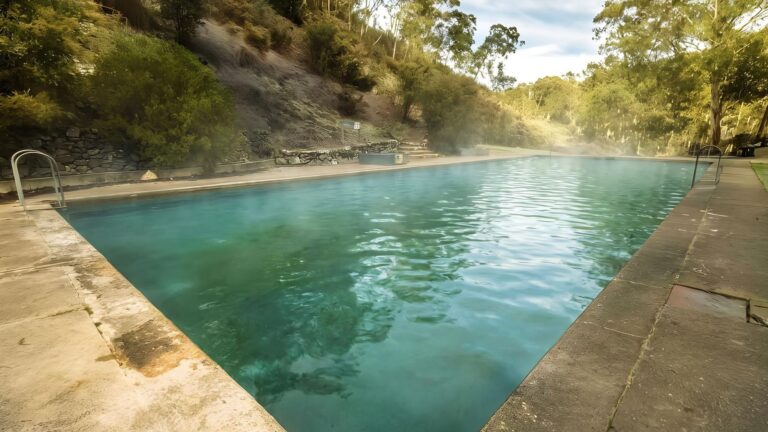 Yarrangobilly caves: the rmal pool walk (700m)