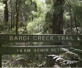 Bardi Creek Trail
