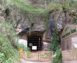 Canungra Tramway Tunnel