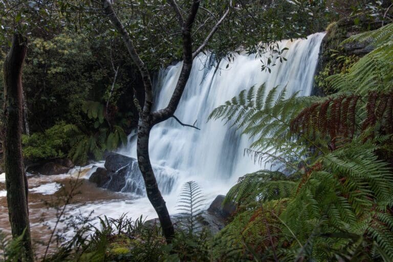 Forth Falls Walk (4km) Forth falls 768x512