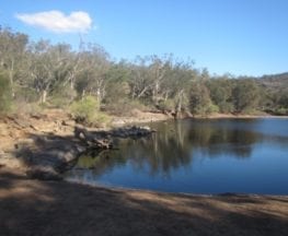 Kangaroo Trail