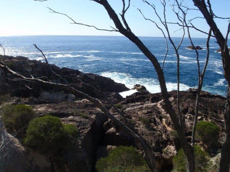 Kianiny bay to white horse bay lookout 768x576