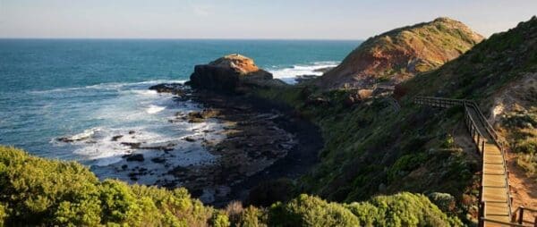 Two Bays Walking Track (28km) Mornington peninsula 100km walk 600x254