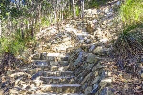 Mount coolum summit track 600x400