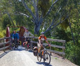 The Riesling and Rattler Trail