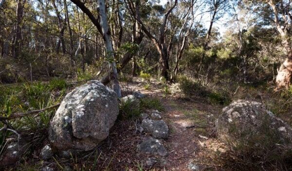 Hikes Tuross falls walking track trail hiking australia 600x352