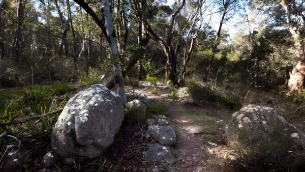 Tuross falls walking track (4km)