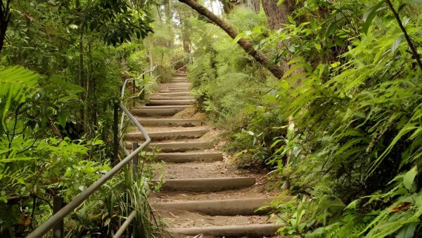 West rim walking track (3. 5km)