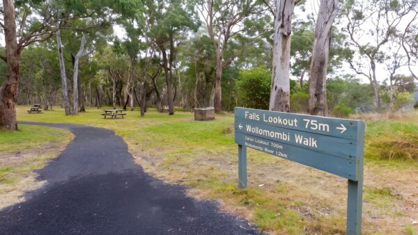 Wollomombi walking track (4km)