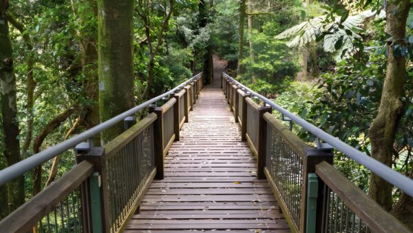 Wonga walk (6. 6km)