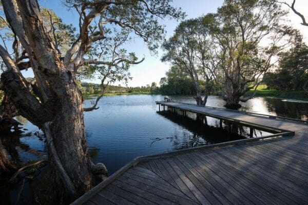 Hikes Eagleby wetlands 600x401