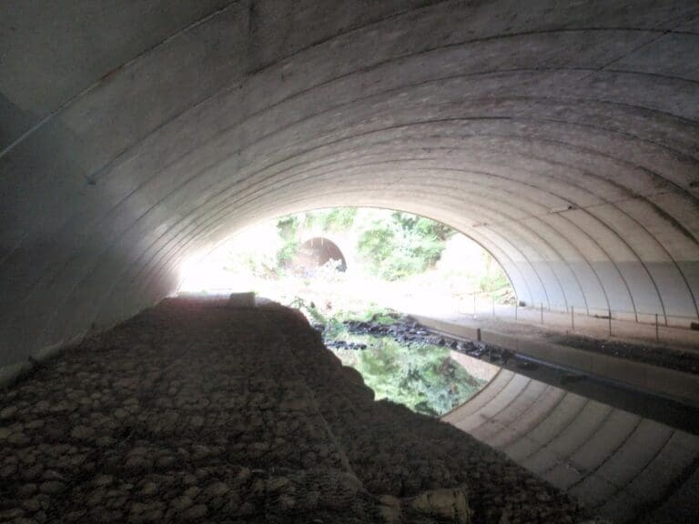 Epping station lane cove river loop 768x576