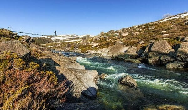 Guthega to Snowy River Suspension Bridge Hike (6.4km) Illawong walk trail hiking australia 600x352