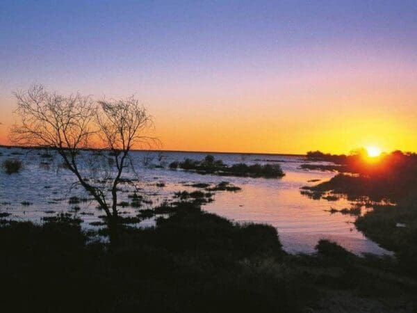 Lake bindegolly circuit 600x450