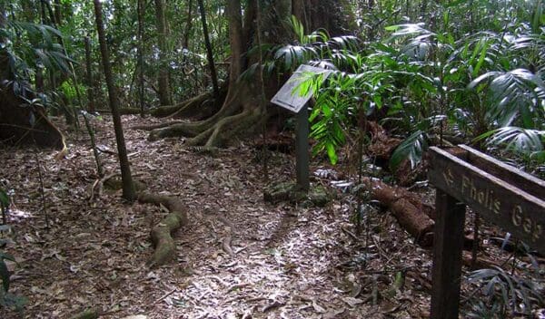 Protesters Falls Walking Track (1.4km) Pholis gap walking track trail hiking australia 600x352