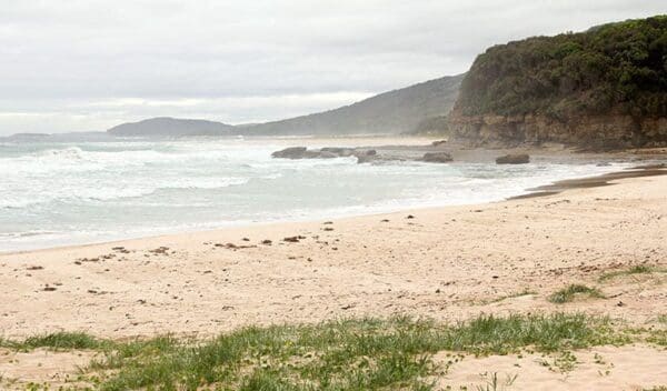 Pigeon House Mountain Didthul Walking Track (7km) Pretty beach to snake bay walking track trail hiking australia 600x352