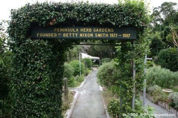 Redcliffe botanic gardens 600x400